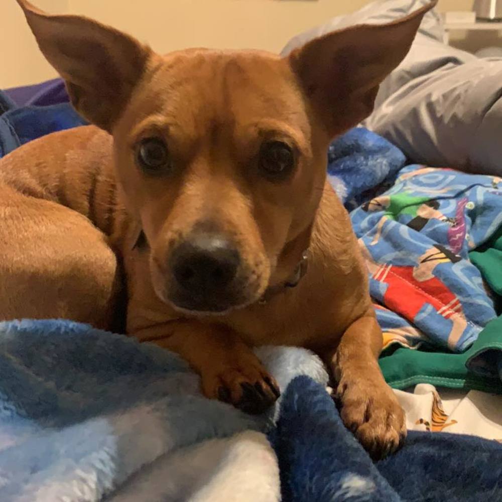 Meet your Posher, Andy